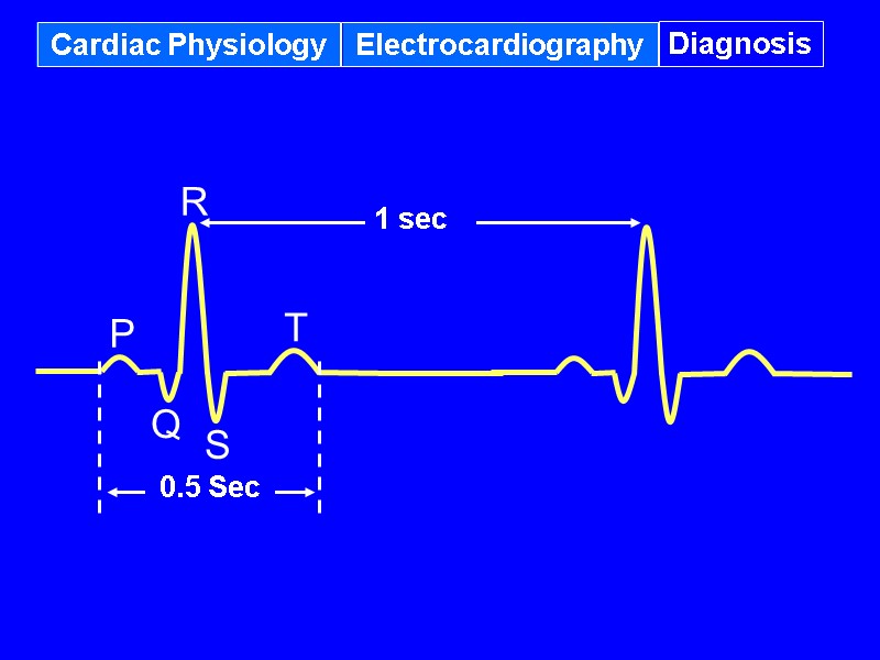Cardiac Physiology Electrocardiography Diagnosis